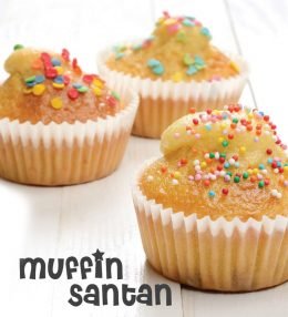 Muffin Santan